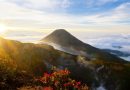 Mengembalikan Arah Konservasi Gunung Gede Pangrango